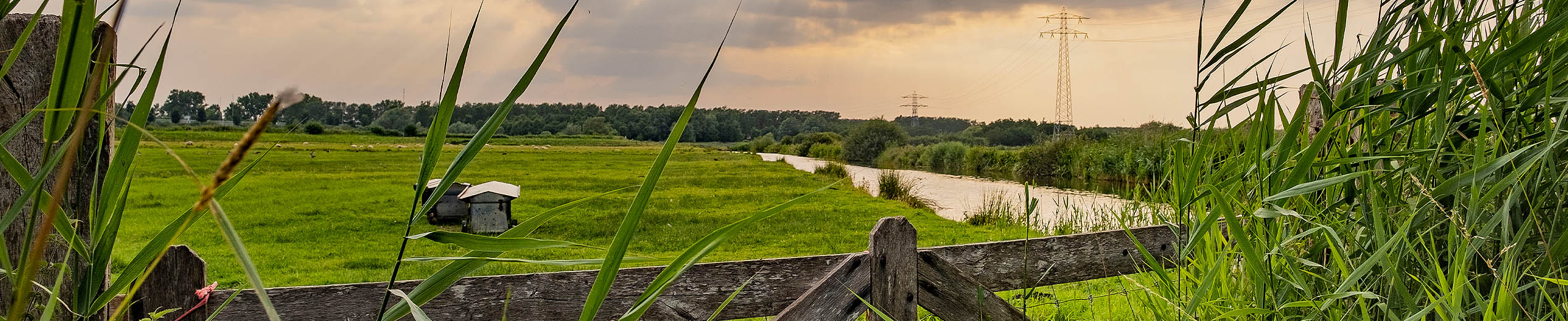 /bestanden/afbeeldingen/Landelijk_gebied/Header Landelijk gebied.jpg